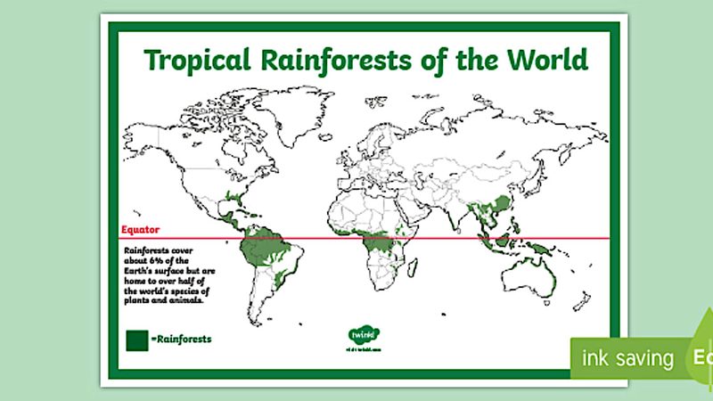 仪表校准资质怎么查询真伪
